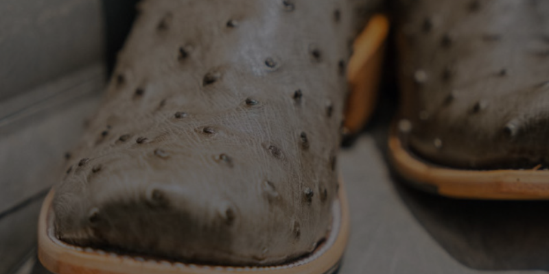 New Horse Power & Macie Bean Boots – Now at Nigro’s!